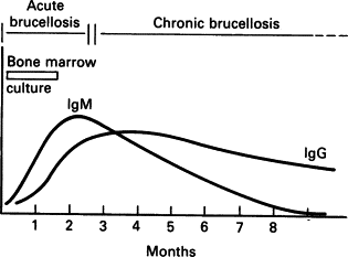 پروفایل آنتی‌بادی بروسلا
